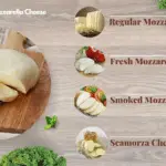 Mozzarella cheese in different types