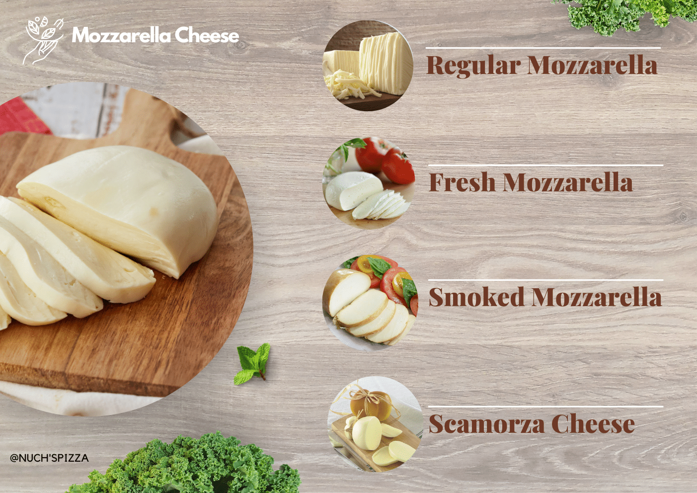 Mozzarella cheese in different types 