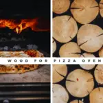 Best wood for pizza oven